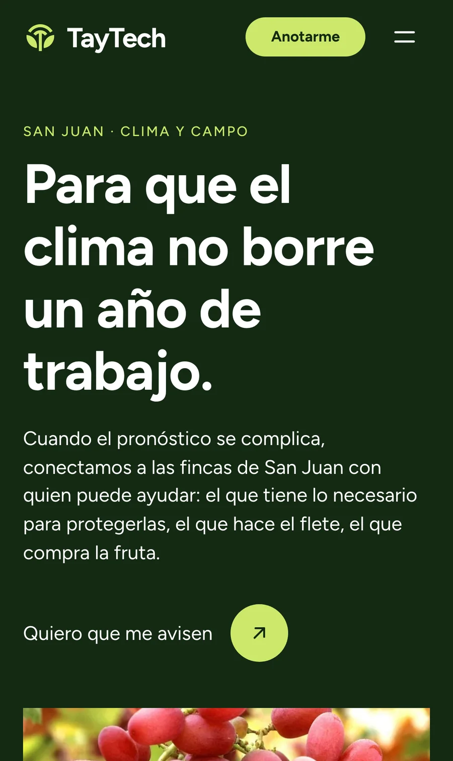 Portada de TayTech en un celular