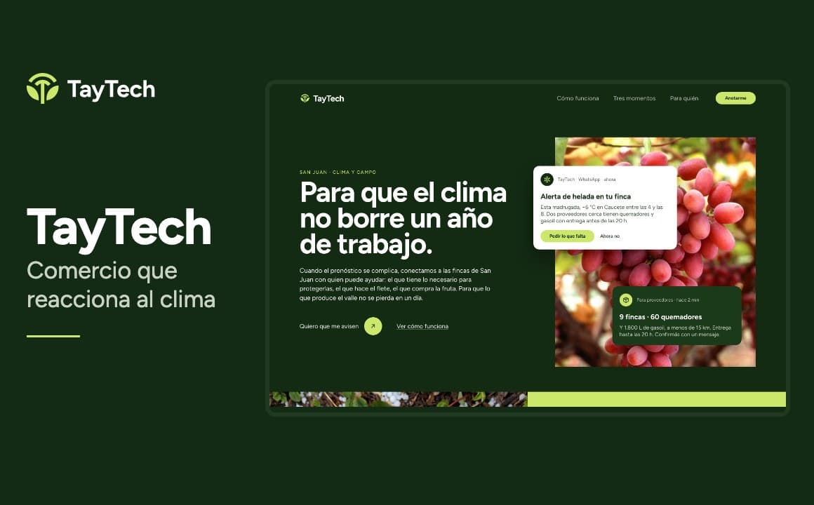 TayTech — comercio que reacciona al clima