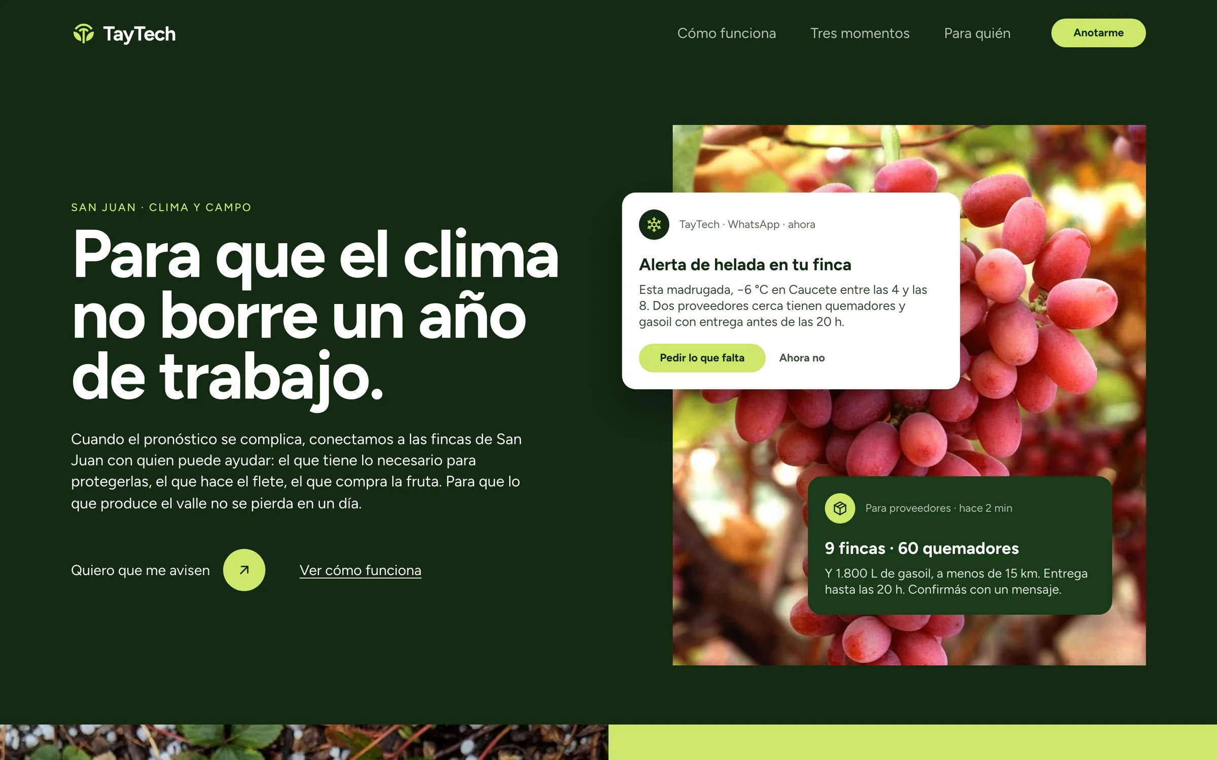 Portada de TayTech con una alerta de helada sobre una foto de viñedo