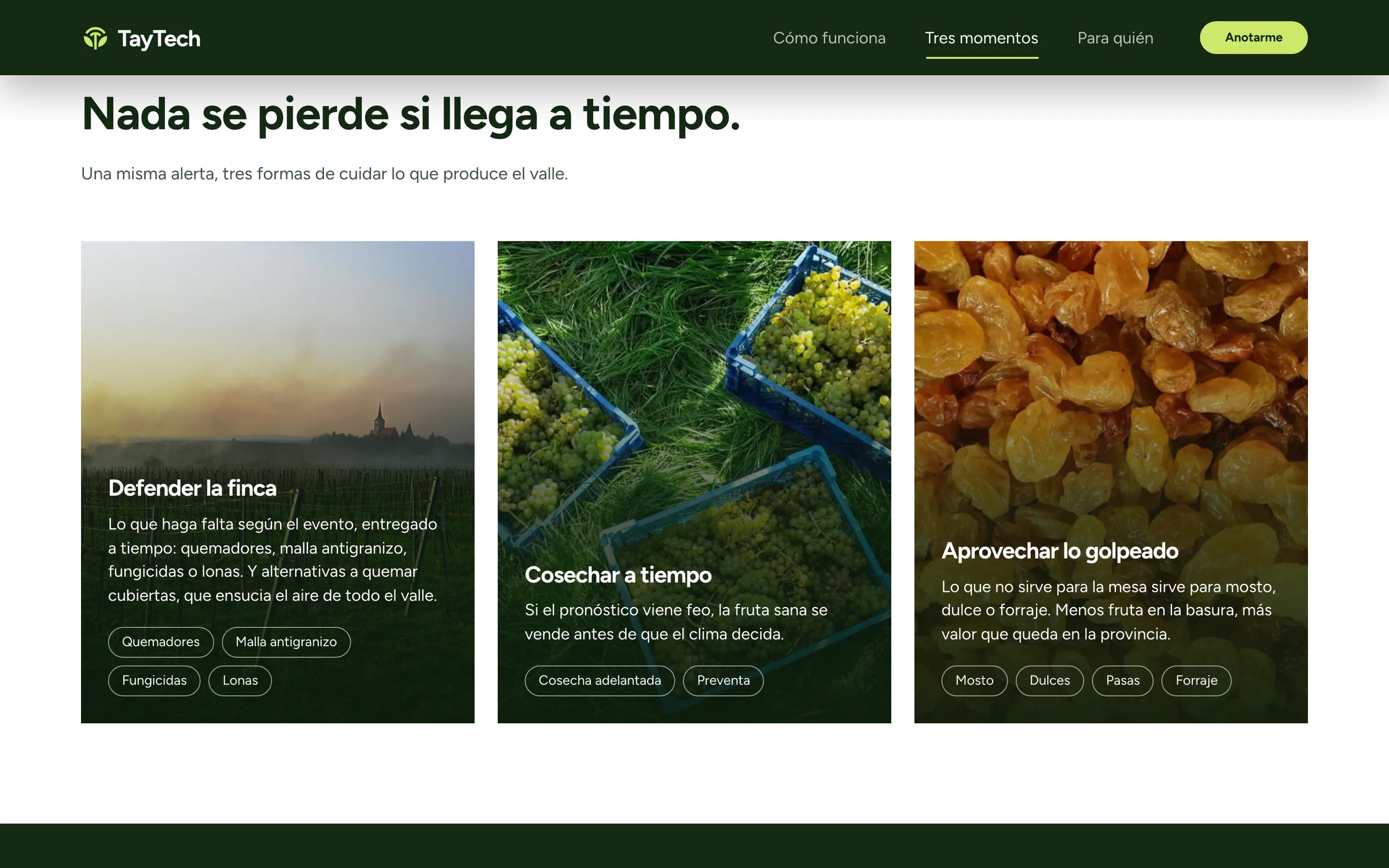 Tres momentos: defender la finca, cosechar a tiempo y aprovechar lo golpeado